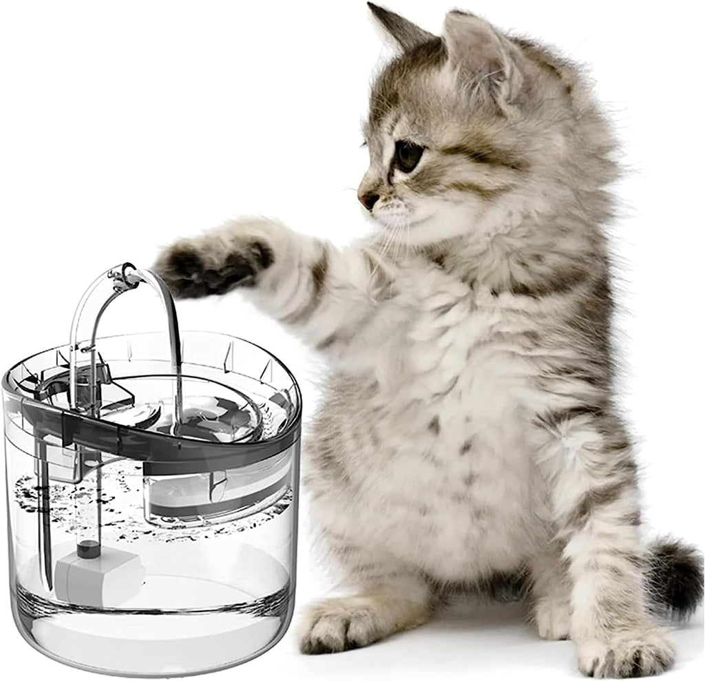 Cat Water Fountain