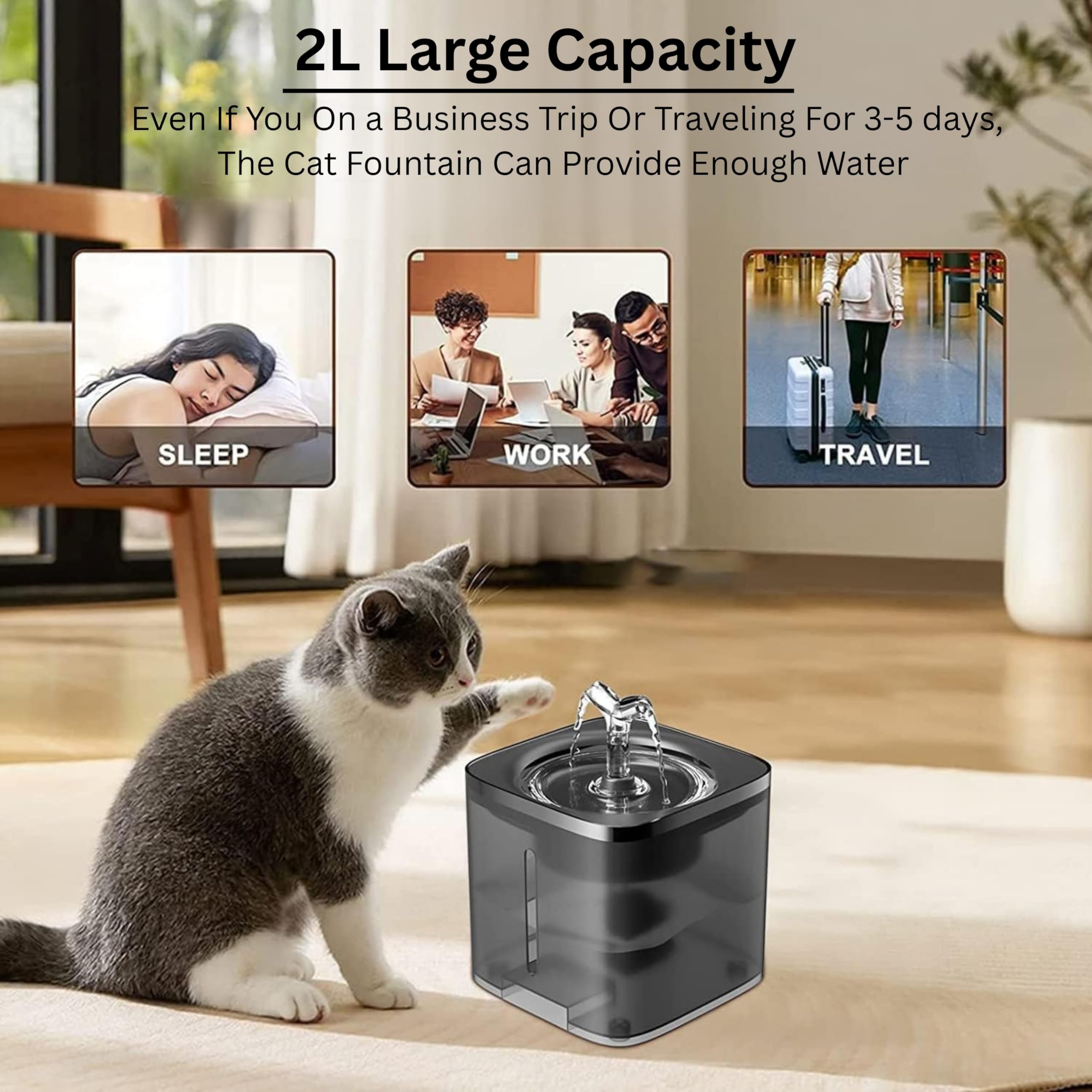 2L/61oz Automatic Water Fountain for Cats and Small Medium Dogs