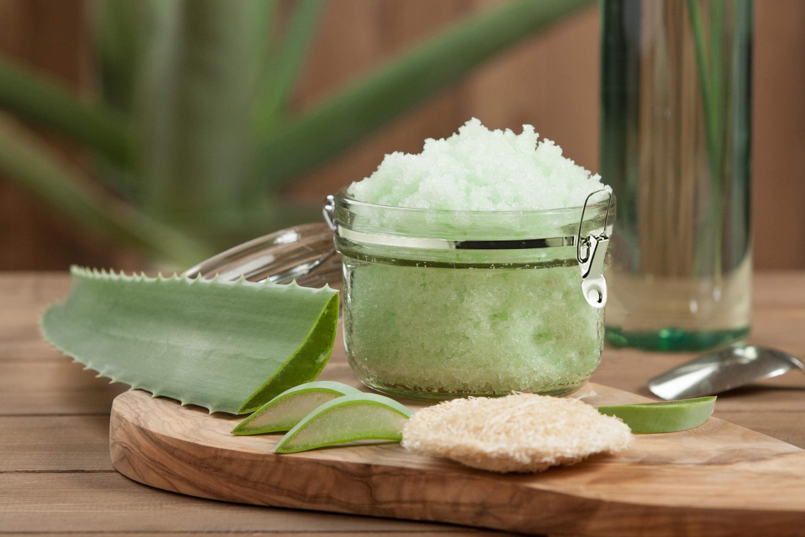 Food Storage Containers